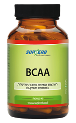 BCAA בתוספת ויטמין B6 סופהרב - מכיל 90 כמוסות